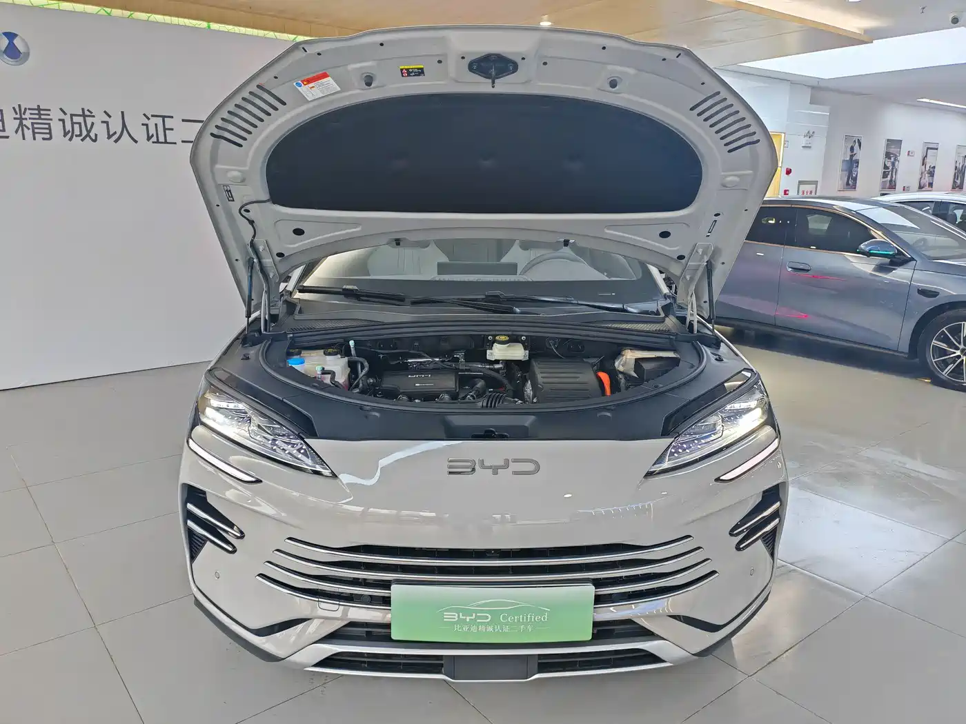 BYD SONGJIANG NEW ENERGY