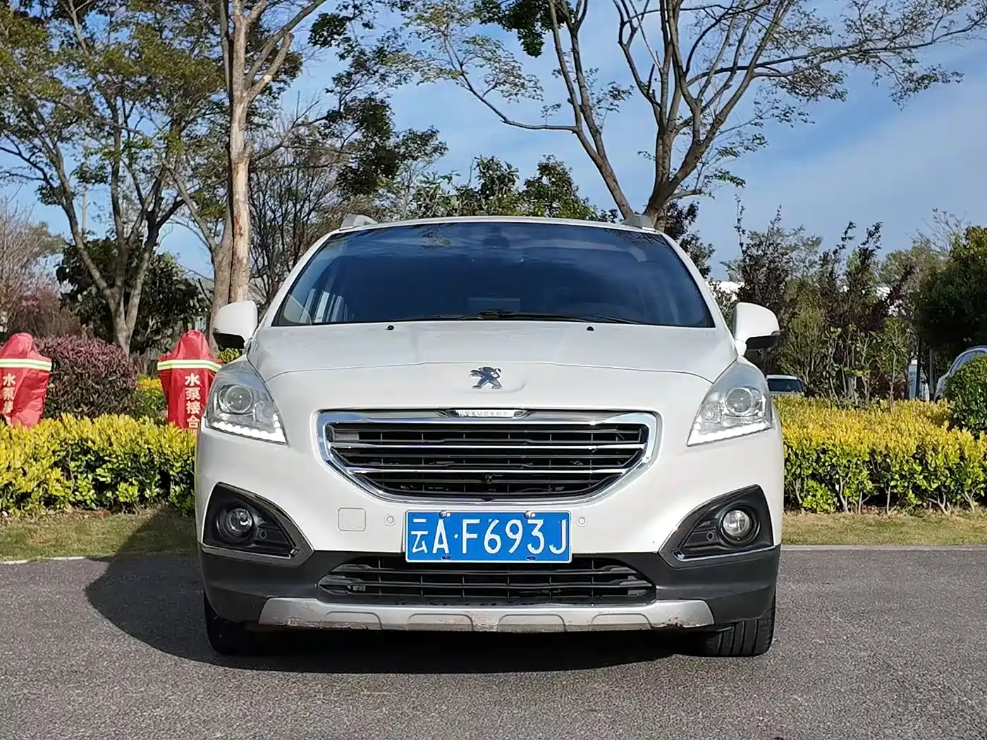 Peugeot 3008 2013 1.6THP Roland Garros Edition фото 2