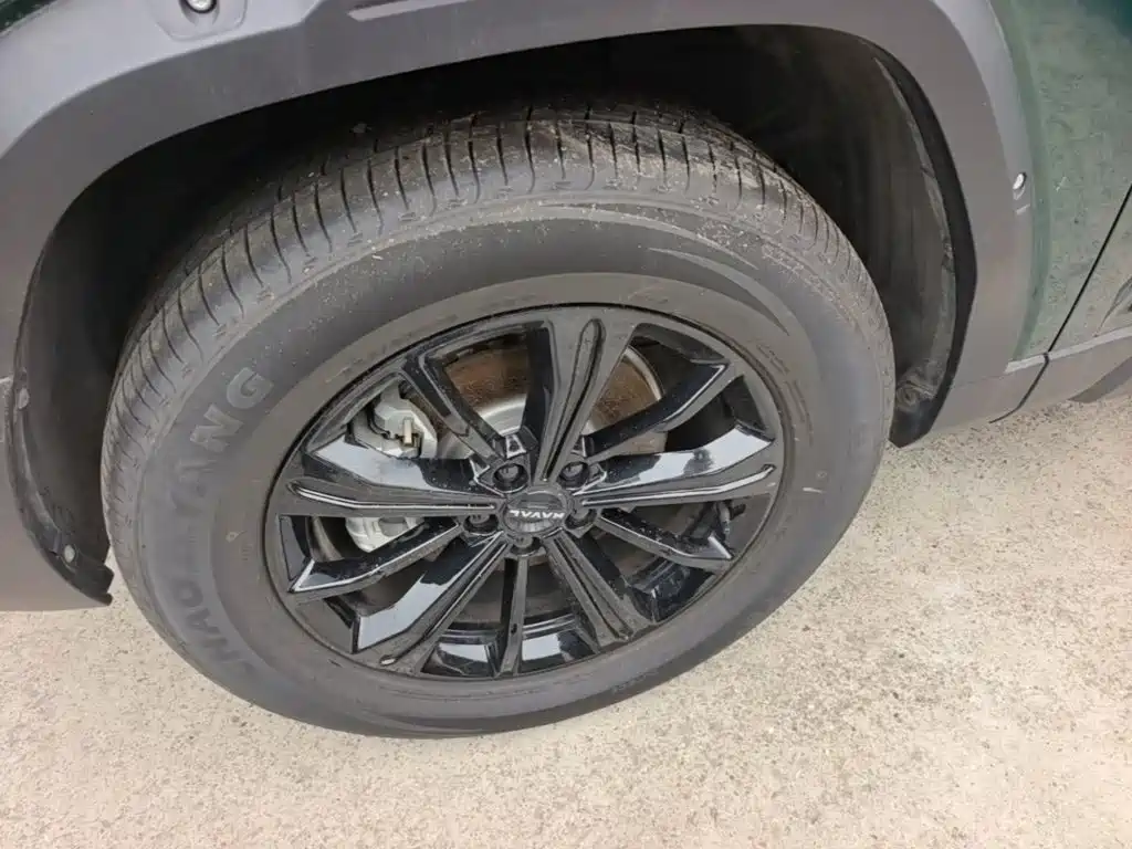 Haval Menglong 2025 2025 2.0T 4WD Ultra
