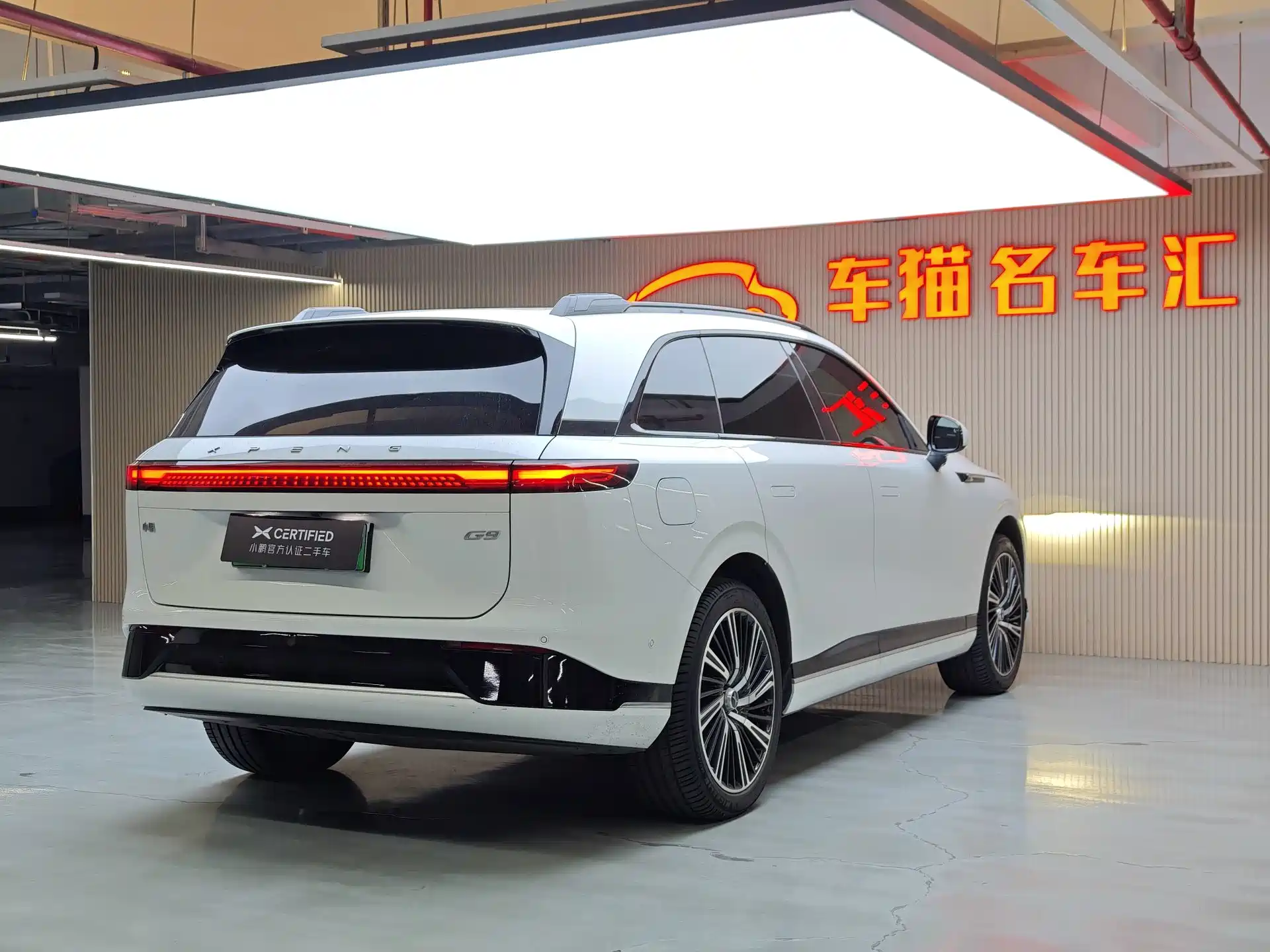 Фото 8 - XPeng G9