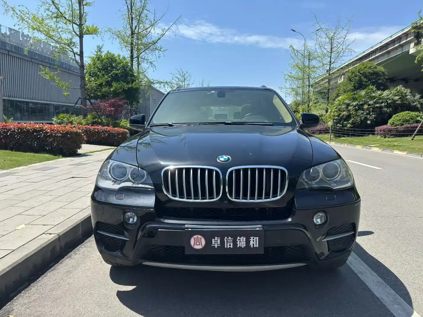 BMW X5 (Import) 2013 xDrive35i Luxury фото 2