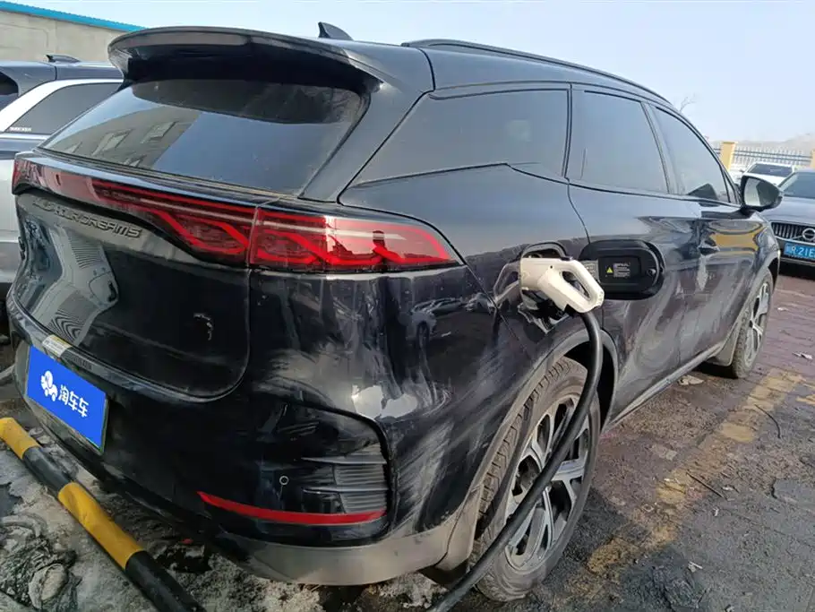 BYD Tang New Energy 2025 DM-i 115KM Flagship фото 3