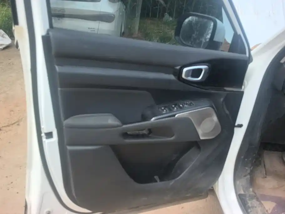 Haval Cool Dog 2023 2022 1.5T DCT 2WD Trend Edition