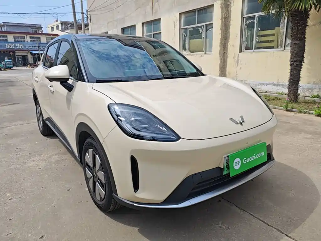 Wuling Motors Wuling Bingo S 2026 2025 Model 325km Premium Edition