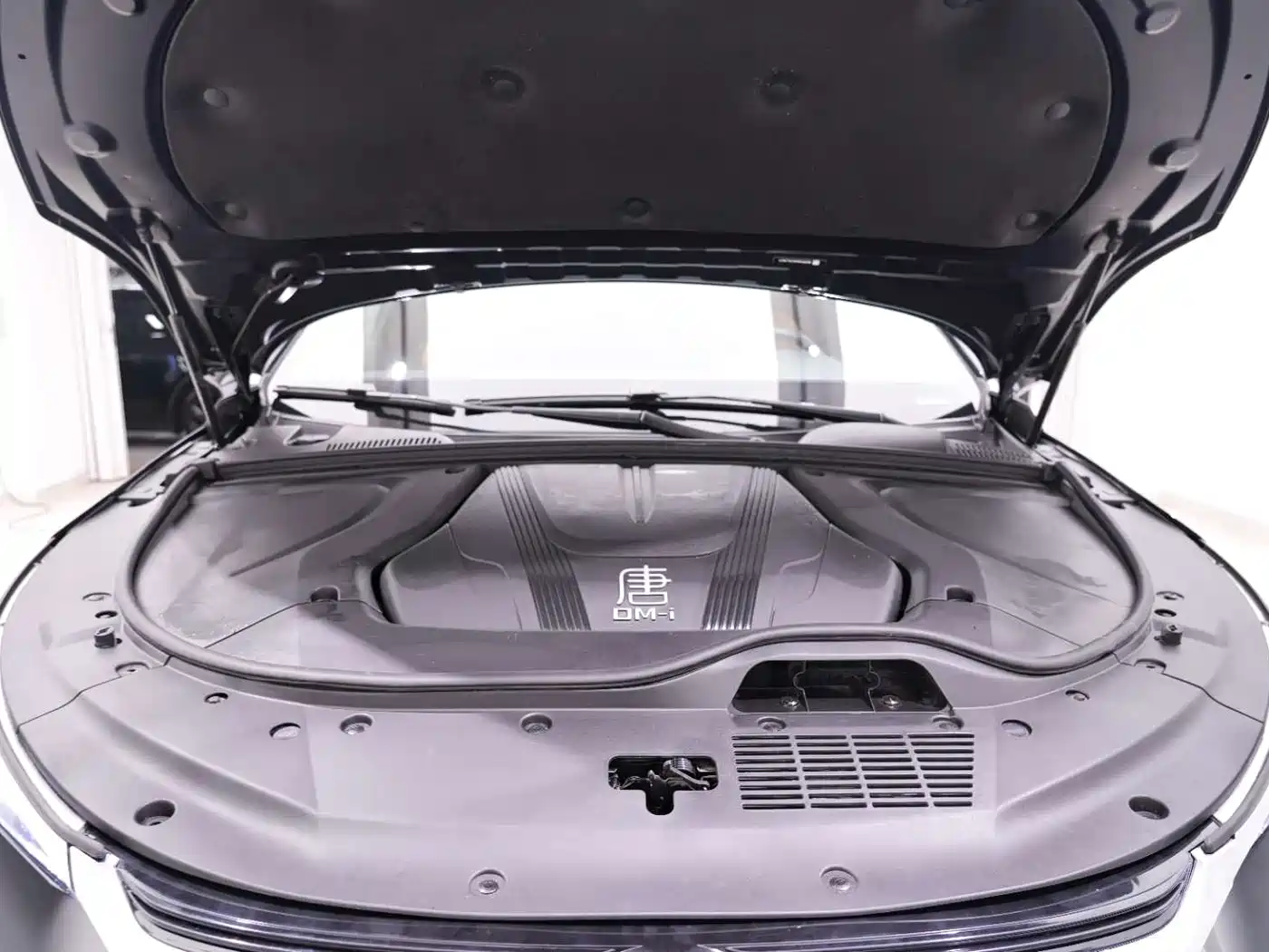 BYD Tang New Energy 2023 Model DM-i Champion Edition 112KM Honor фото 17