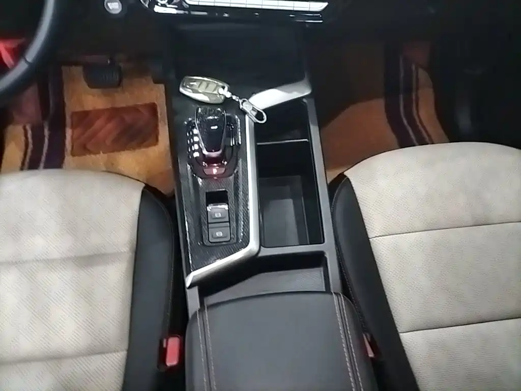 Haval Chitu 2023 2021 1.5T Silver Rabbit Turbo Edition