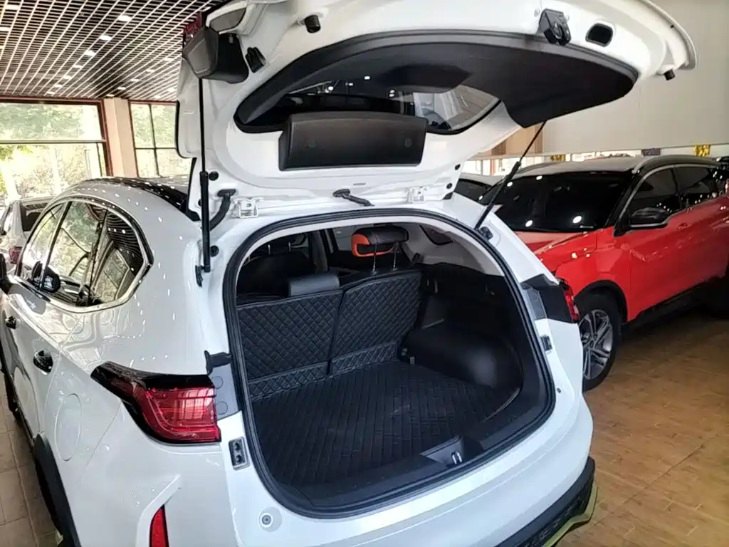 Haval Chitu 2023 2021 1.5T Silver Rabbit Turbo Edition
