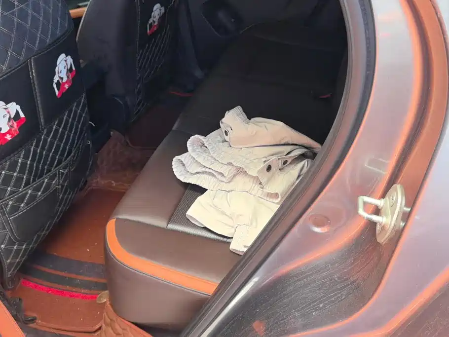 BYD e2 2022 2021 Comfort Model