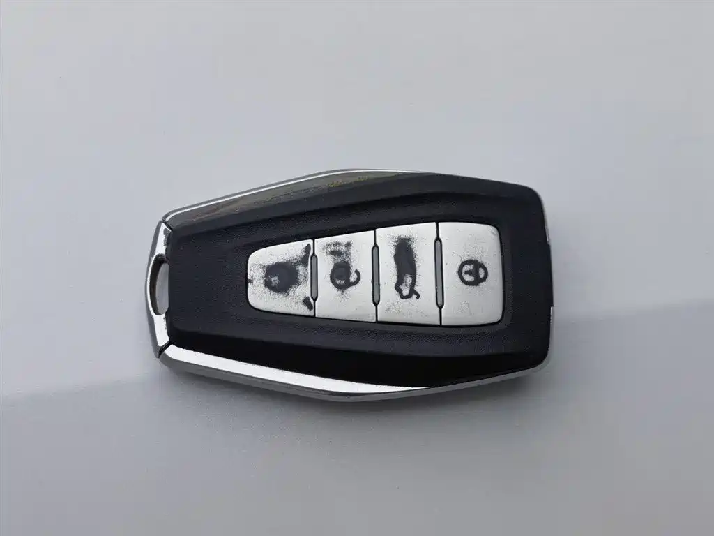 GEELY AUTOMOBILE BORUI