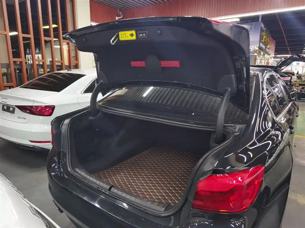 BMW 5 Series 2018 528Li Launch Special Edition фото 15