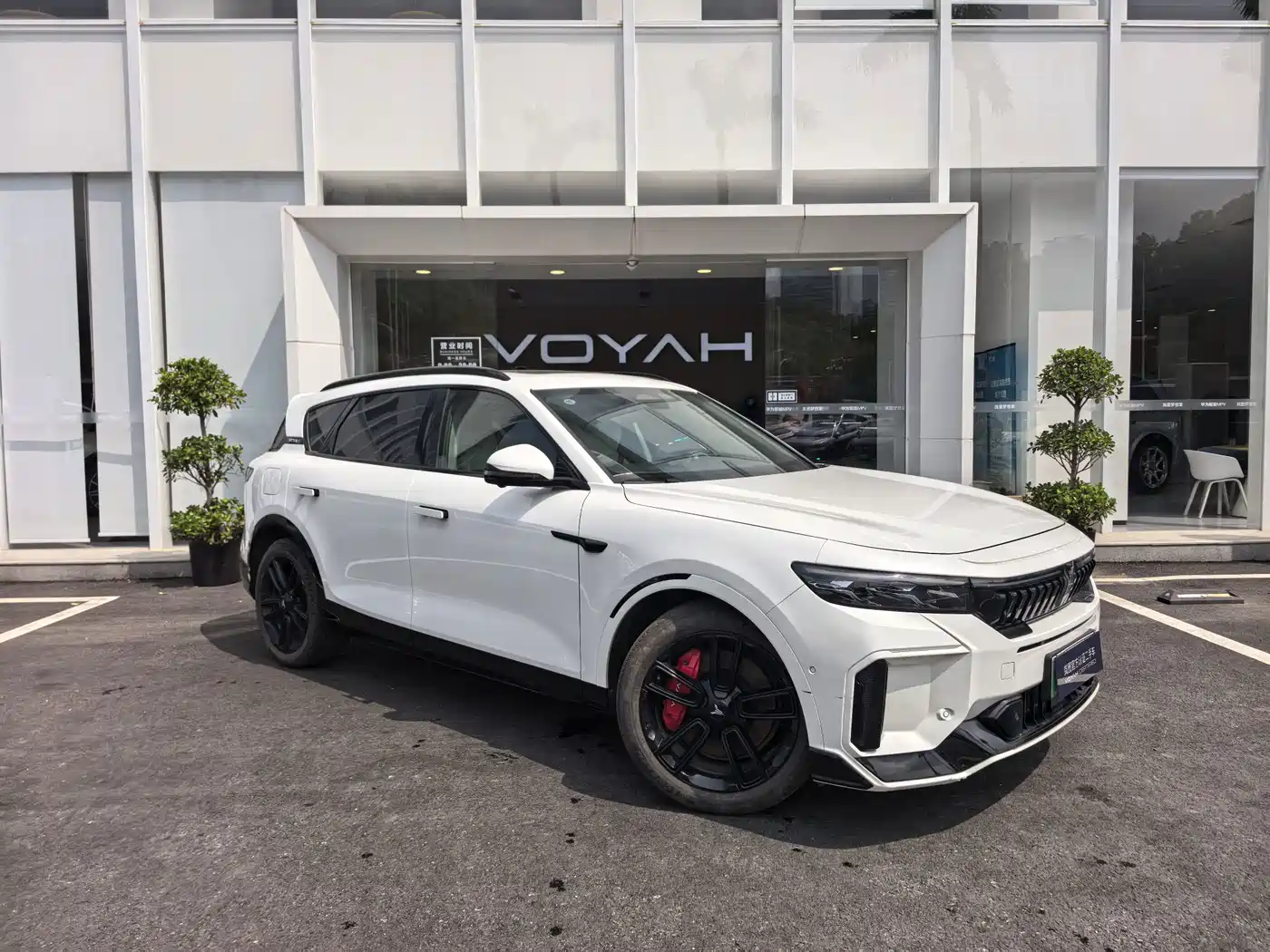 Voyah Auto VOYAH FREE 2025 2025 318 318km RWD Touring Edition