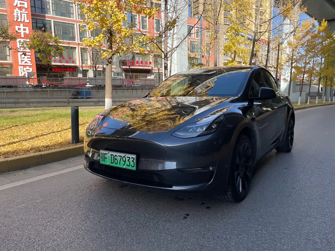 TESLA MODEL Y