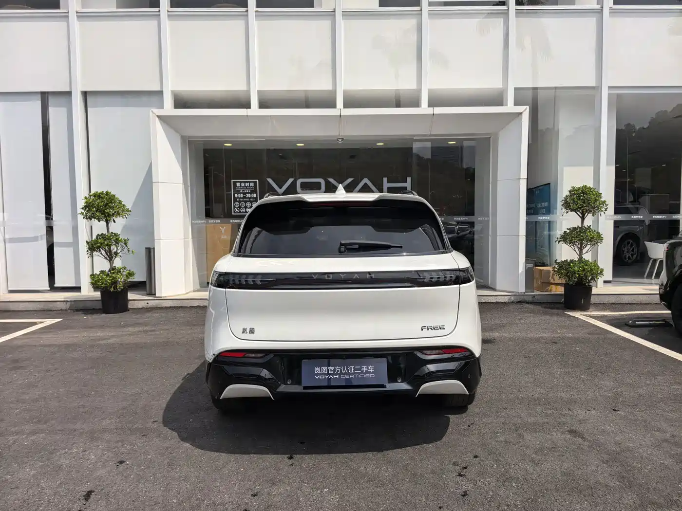 Voyah Auto VOYAH FREE 2025 2025 318 318km RWD Touring Edition