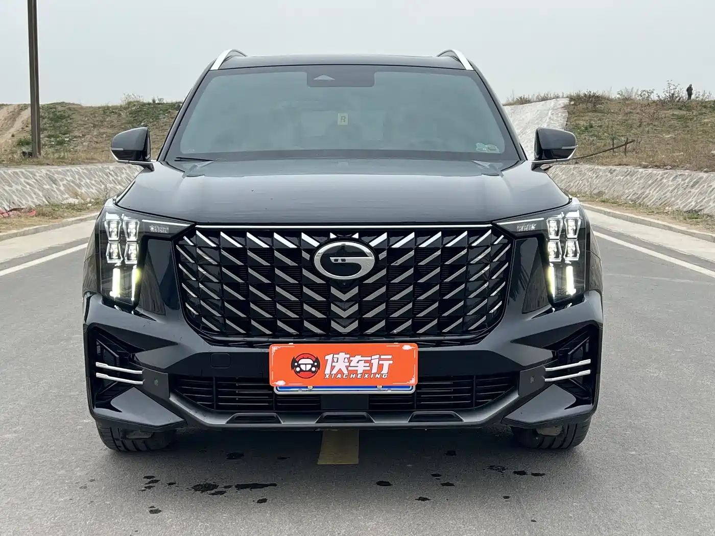 GAC Trumpchi Trumpchi GS8 2025 Pilot Series 2.0TGDI 2WD Luxury Edition 5-seater фото 2