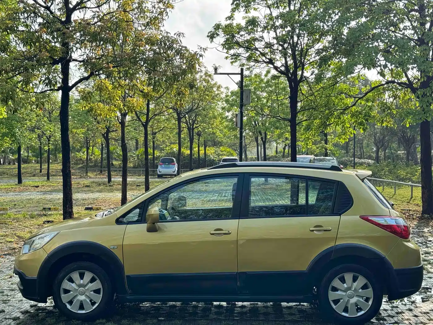 2014 Venucia R50X