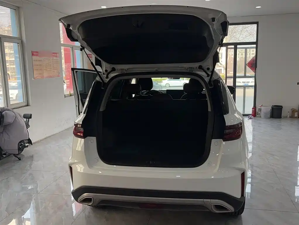 GEELY AUTOMOBILE VISION X6