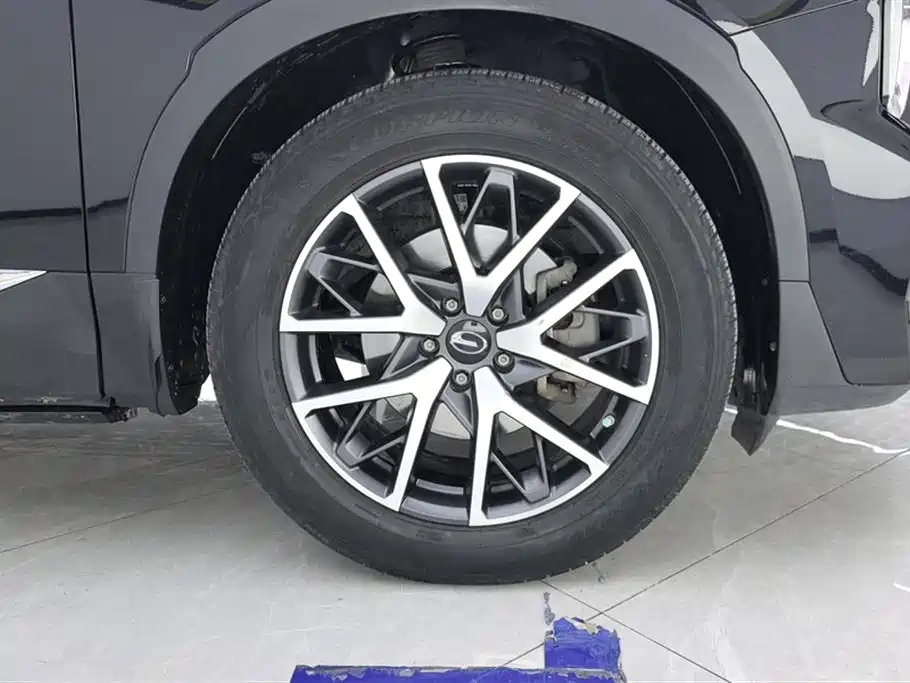 GAC Trumpchi Trumpchi GS8 2022 Pilot Series 2.0TGDI 4WD Luxury Smart Connect Edition (7-Seater) фото 6