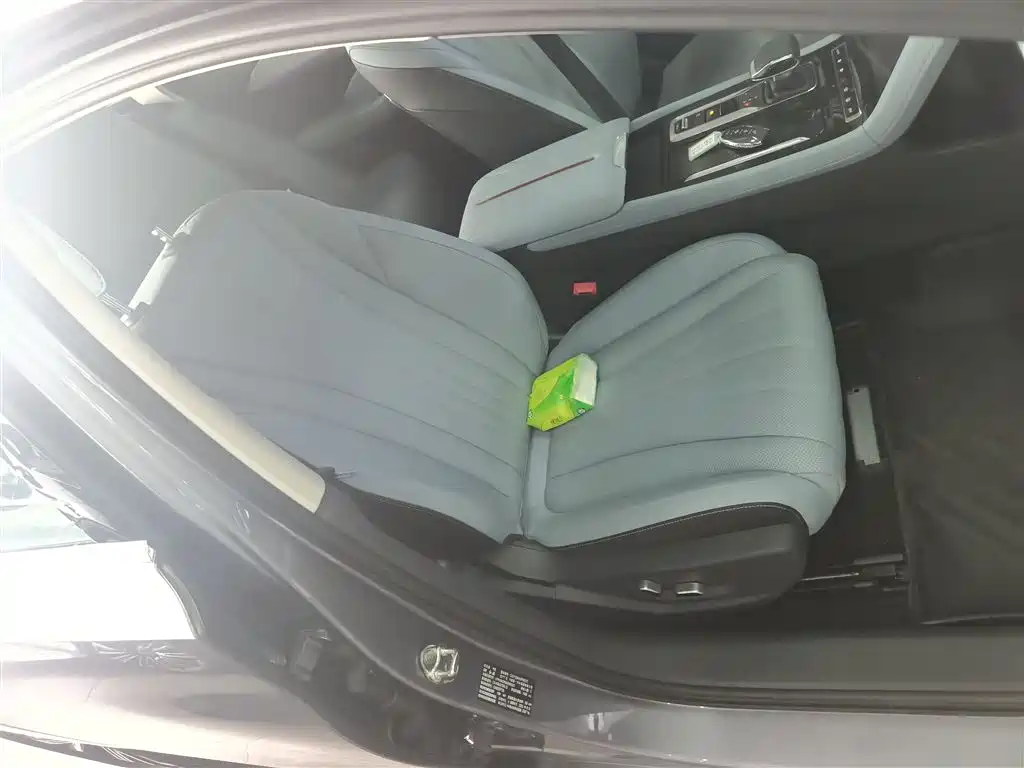 Hongqi H5 PHEV 2025 170 Super Hybrid Edition фото 25