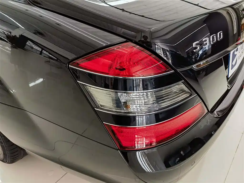 Mercedes-Benz S-Class 2008 S 300 L Business фото 6