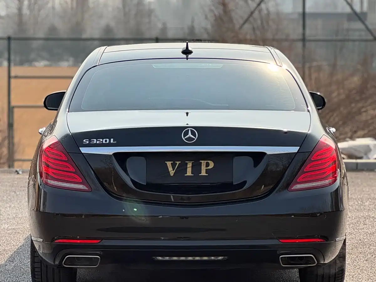 Mercedes-Benz S-Class 2016 S 320 L Luxury фото 4