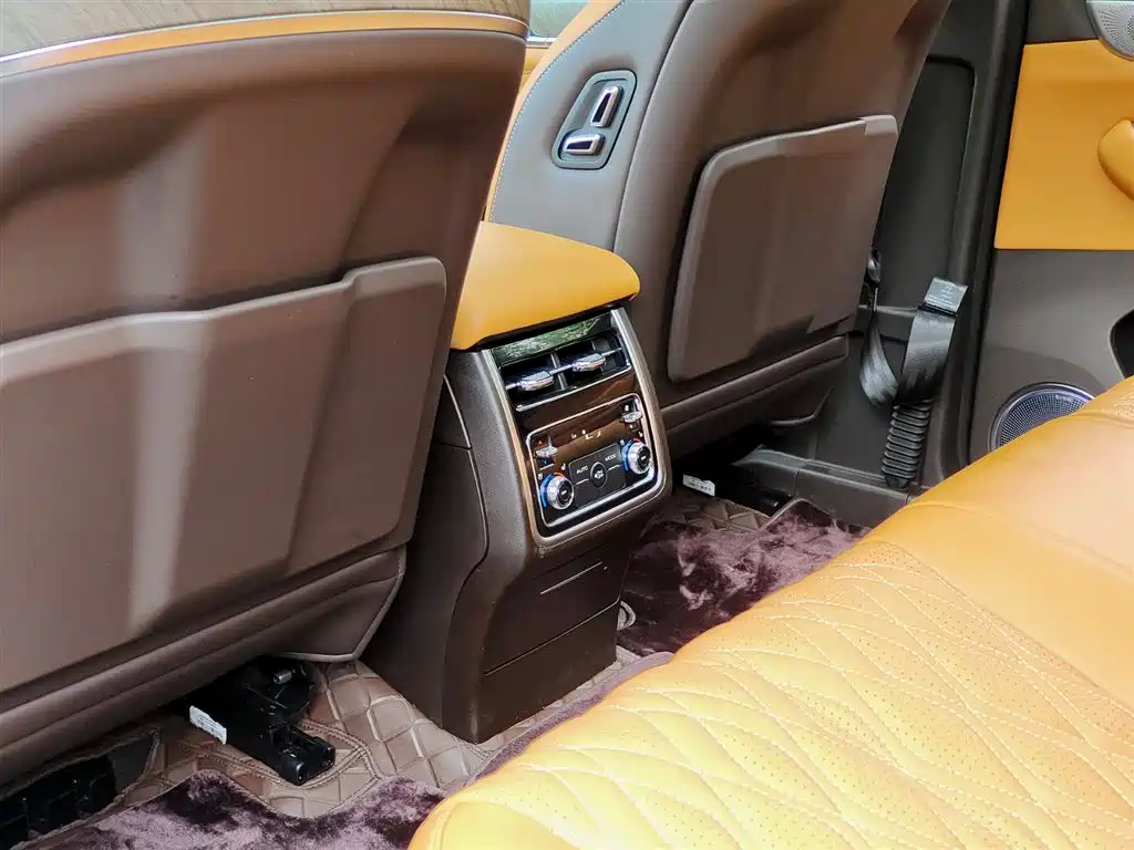 Tank 500 2023 3.0T Business Edition (5-seater) фото 9