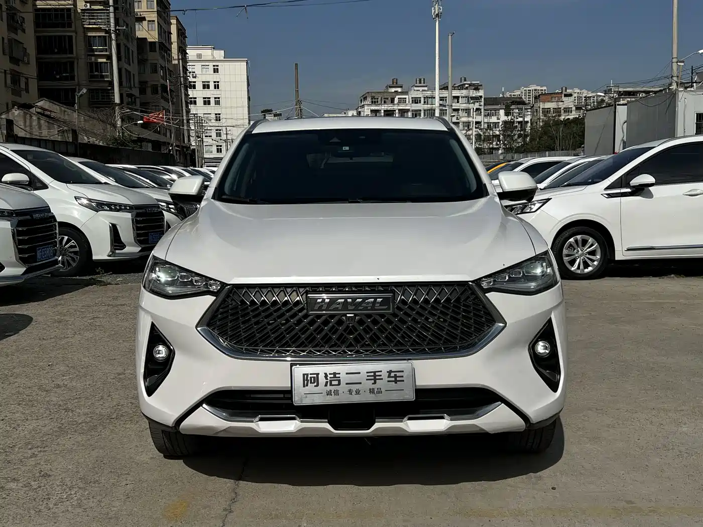 HAVAL F7X
