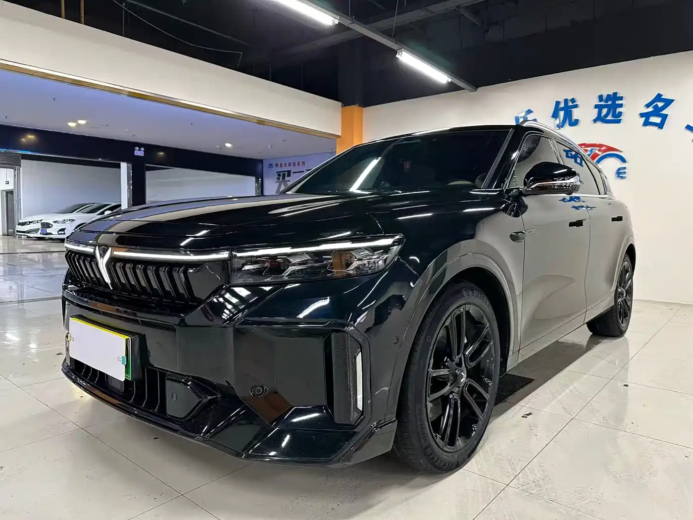 Voyah Auto VOYAH FREE 2024 Ultra Long Range Intelligent Driving Edition