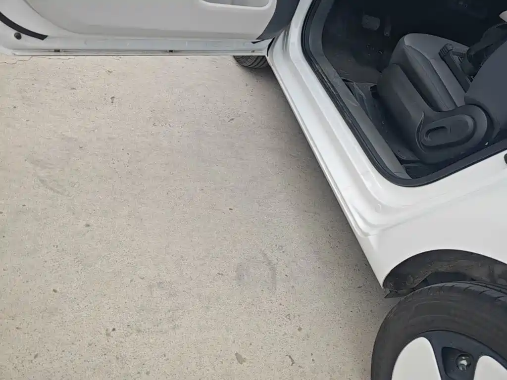 Changan Lumin 2025 2025 205km Fragrant Infusion Edition