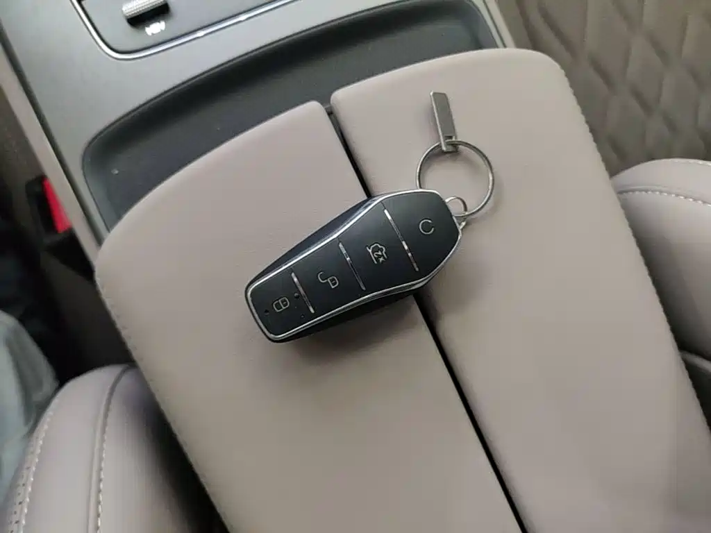 BYD Tang New Energy 2025 2025 DM-i 115KM Premium