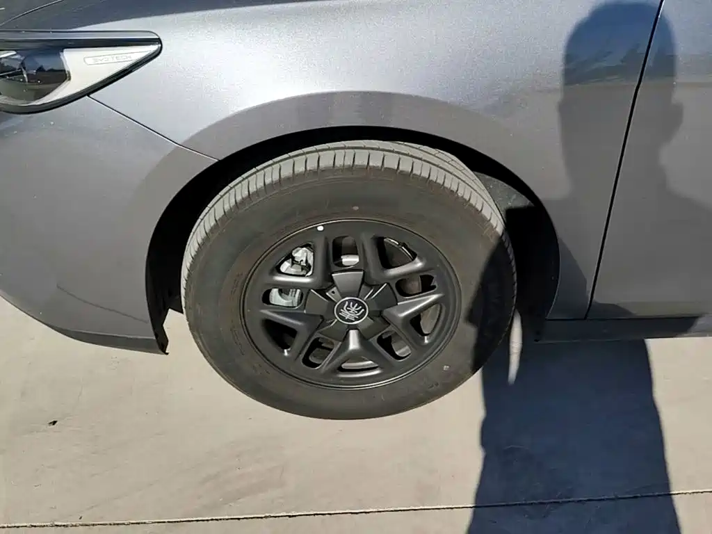 Фото 23 - BYD Qin PLUS
