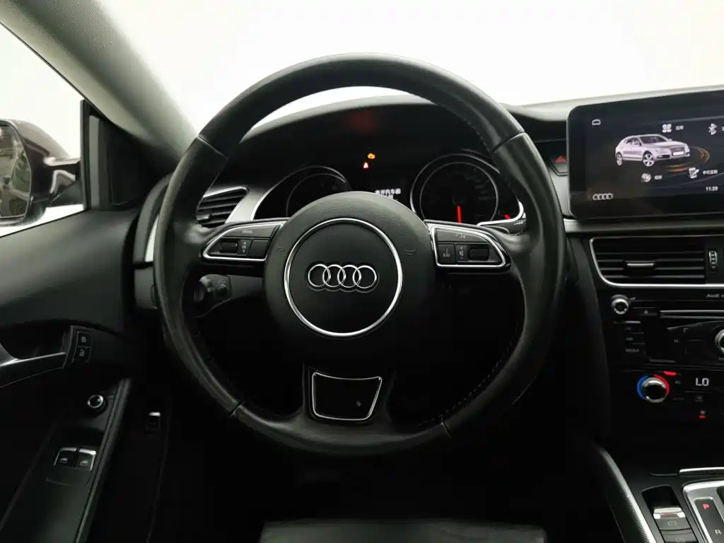 Фото 11 - Audi A5 (Import)