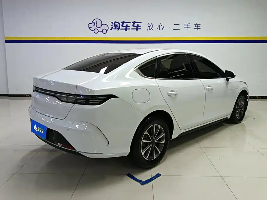BYD Destroyer 05 2024 2023 Champion Edition DM-i 55KM Luxury