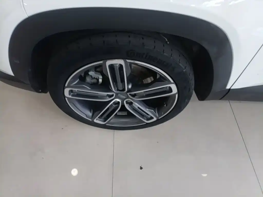 Фото 23 - Geely ICON
