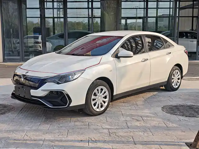  Venucia Venucia D60EV 2022 Standard Range Smart Drive Edition