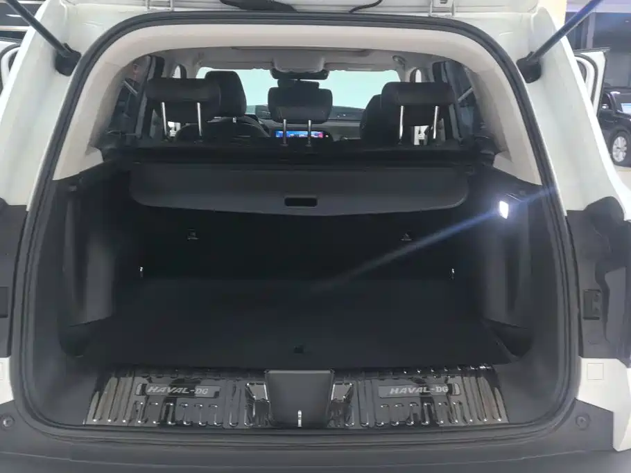 Haval Dargo 2021 2021 1.5T DCT 2WD Border Collie - Wangcai Edition