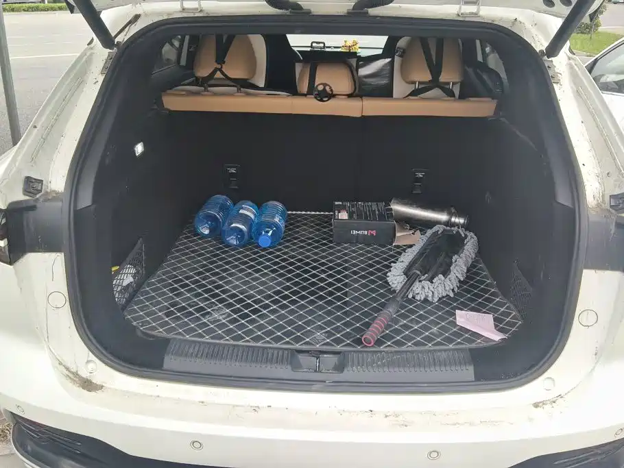 Roewe RX5 2025 2023 1.5T Superior Edition