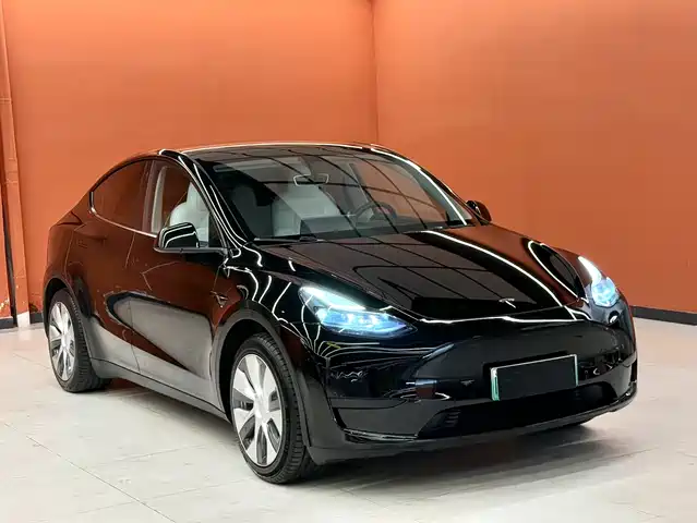 Tesla Model Y 2022 Rear-Wheel Drive Version — фото 3