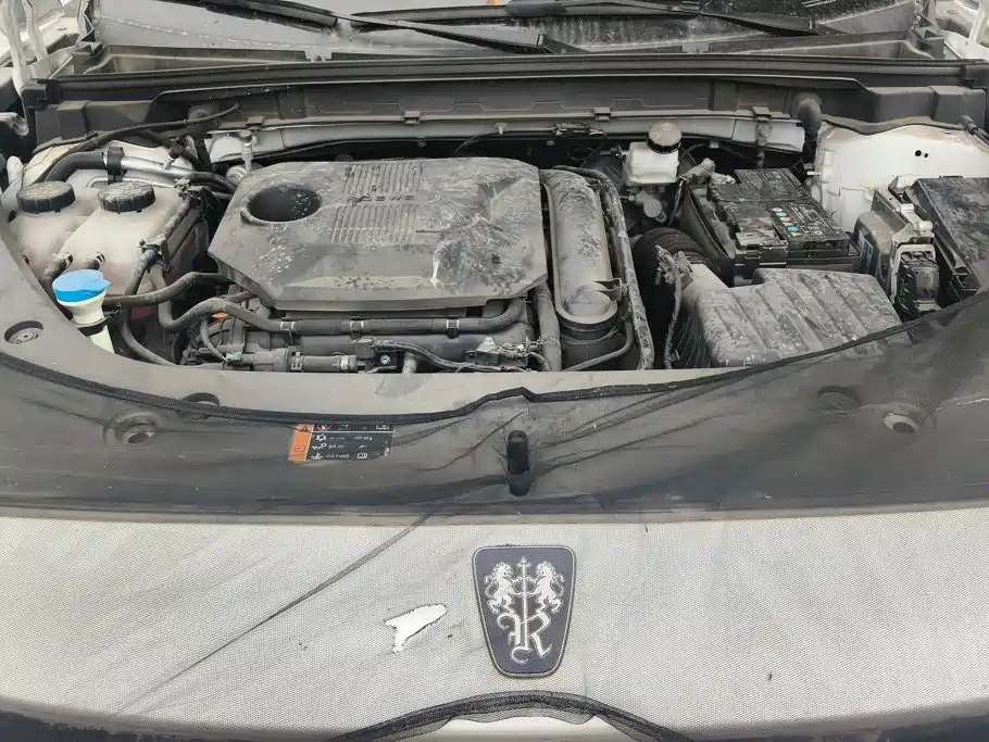 Roewe RX5 2025 2023 1.5T Superior Edition