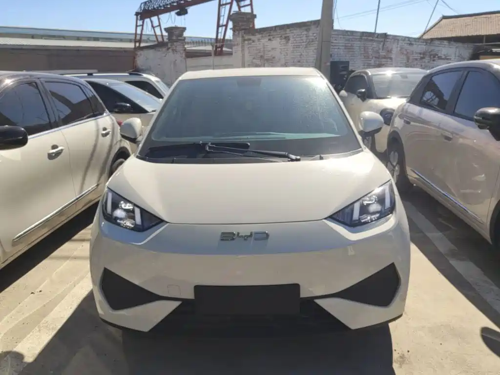 2026 BYD Seagull