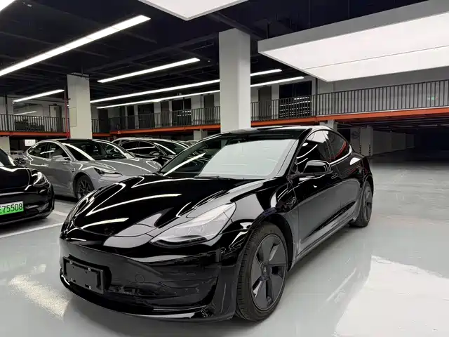 Tesla Model 3 Задний привод
