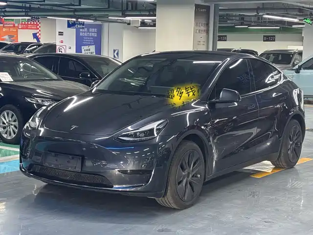 Tesla Model Y 2024 Rear-Wheel Drive Version