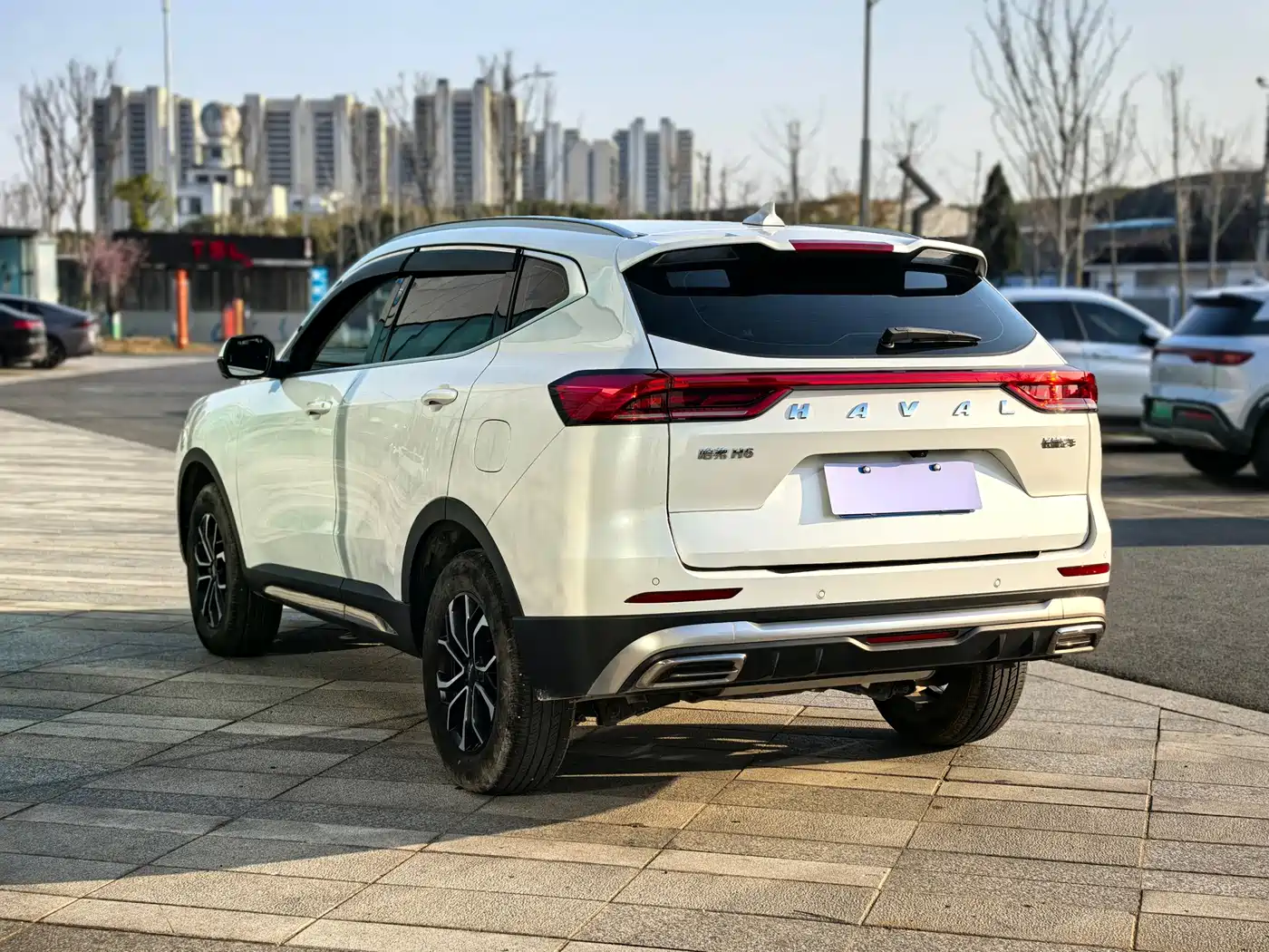 HAVAL H6