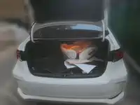 фото авто