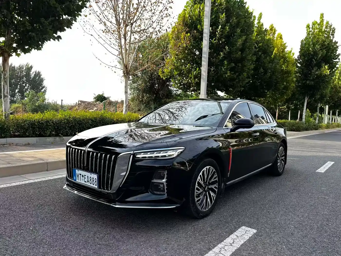 Hongqi Hongqi H5 2025 2.0T Automatic Flag Celebration 500,000 Units Anniversary Edition