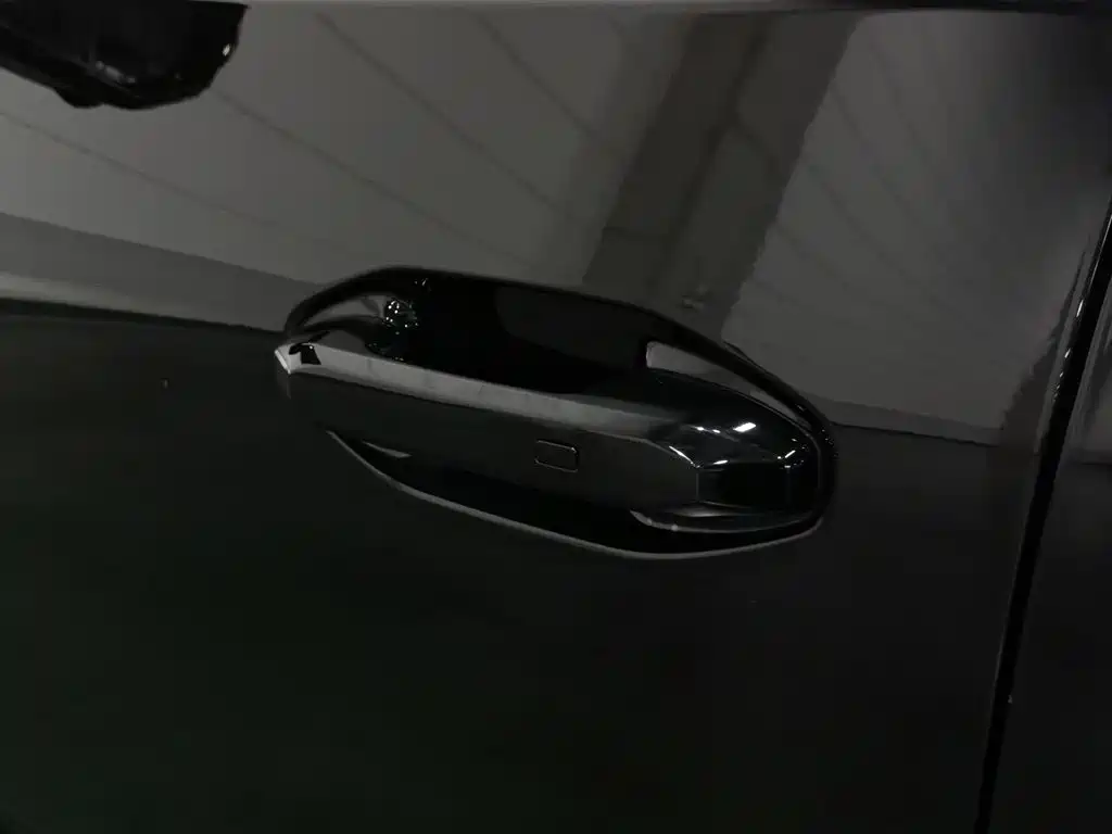 Jetour Shanhai T2 2025 2024 C-DM 129KM Forest Edition