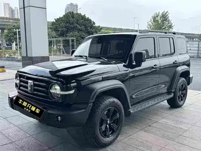 Tank 300
