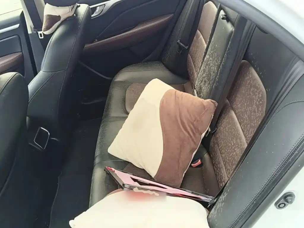 Geely Vision 2019 Upgrade 1.5L CVT Luxury China VI 13