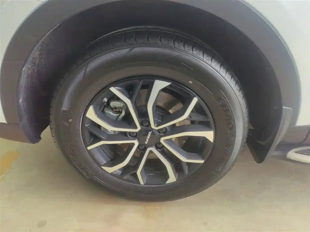 Haval H6 2023 National Trend Edition 1.5T Automatic Urban фото 23