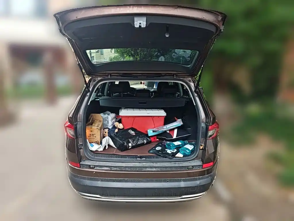 Фото 20 - Škoda Kodiaq