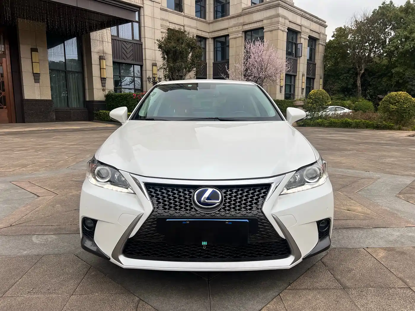 Lexus CT 2014 CT200h Comfort Monochrome